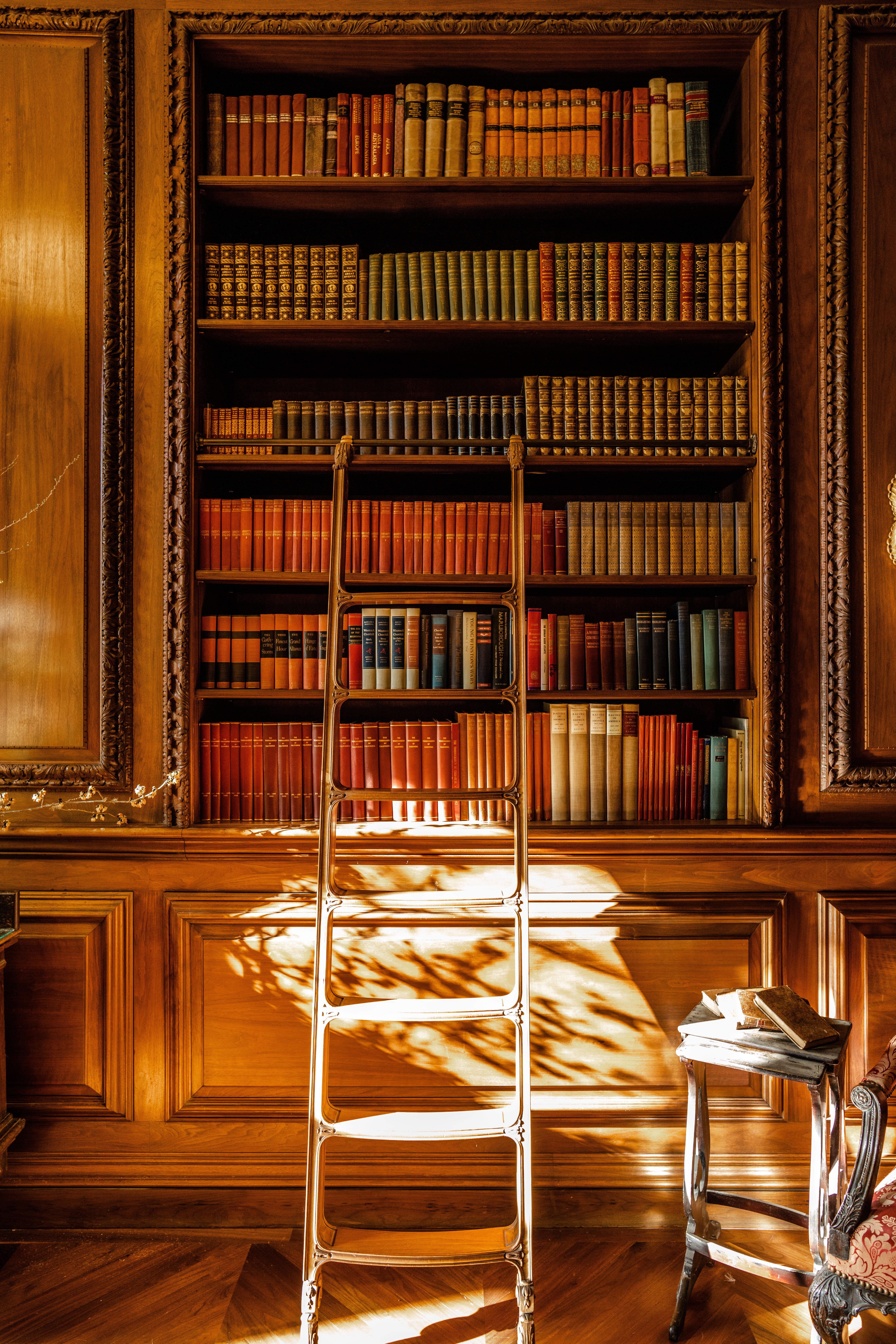 A sunlit vintage library in San Francisco featuring antique shelves, books, and a wooden ladder.